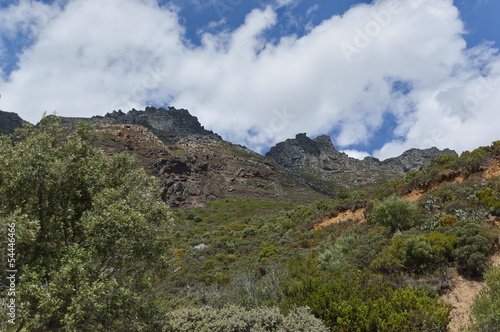 Chapman's Peak Drive. View to mountain rocks.
