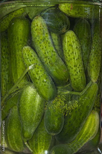 cucumbers preserved in a glass jar - close up