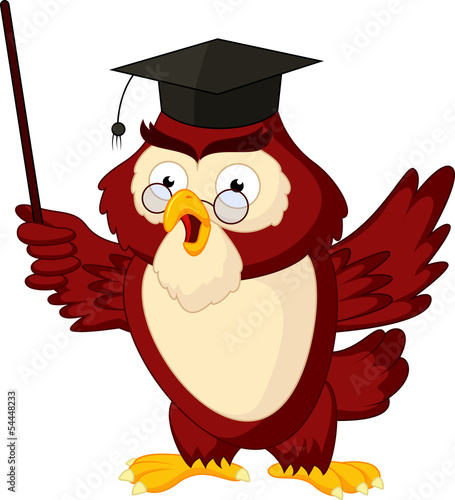 Cartoon of pointing wise owl