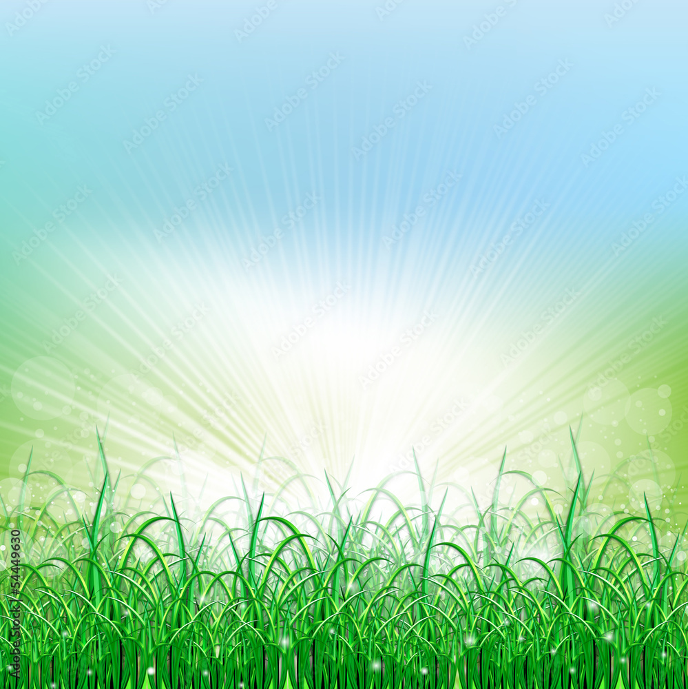 Fototapeta premium Beatiful green field with blur heaven and sunrise
