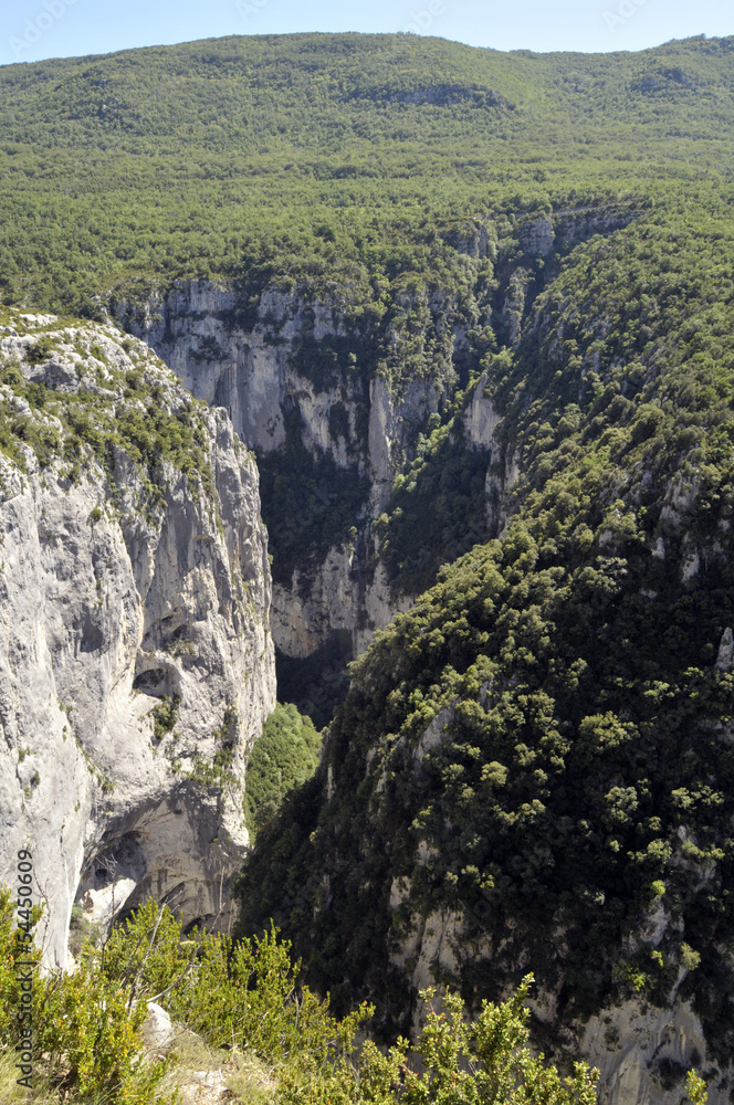 Verdon