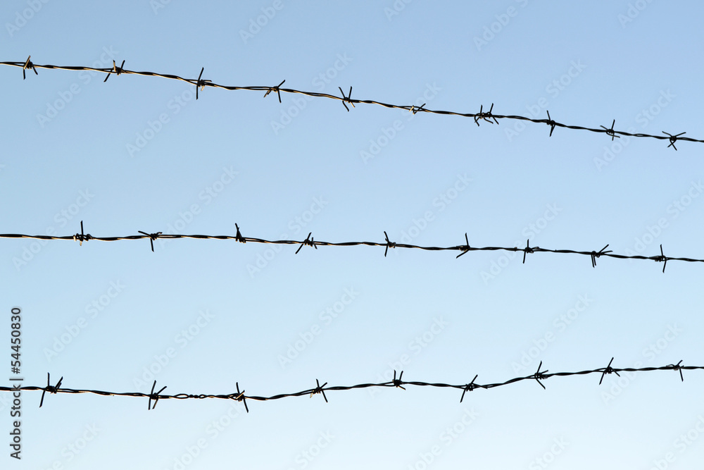 barbed wire fence barbed wire fence