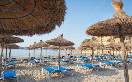 Sandy Beach With Straw Umbrellas and Sunbeds photo