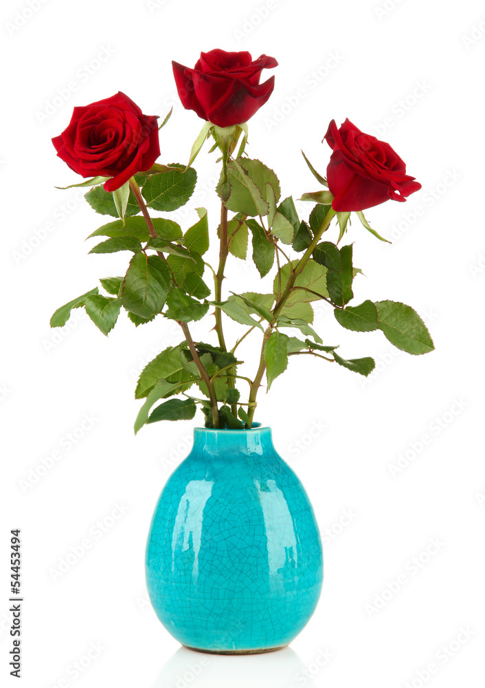 Obraz premium Beautiful roses in vase, isolated on white