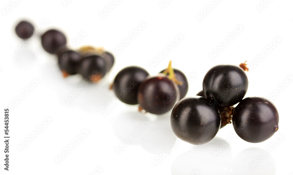 Fresh black currant isolated on white Fresh black currant isolated on white