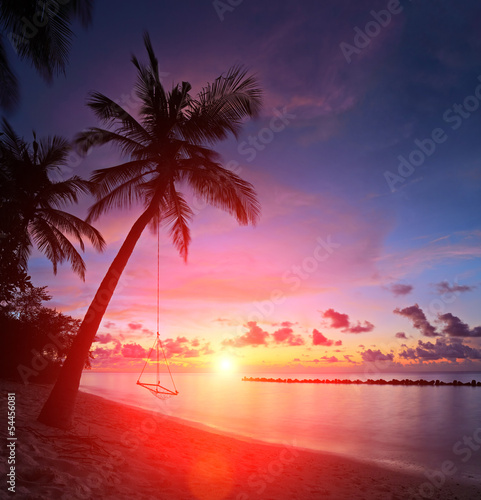 View of a beach with palm trees and swing at sunset, Maldives