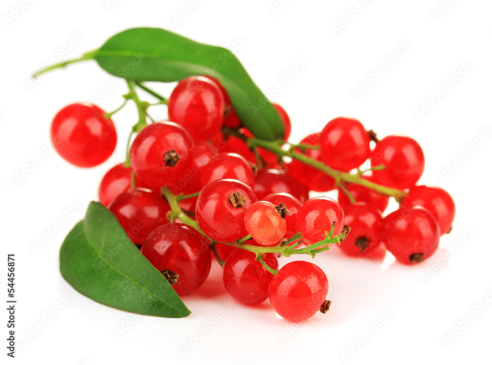 Branch of red currant isolated on white Branch of red currant isolated on white