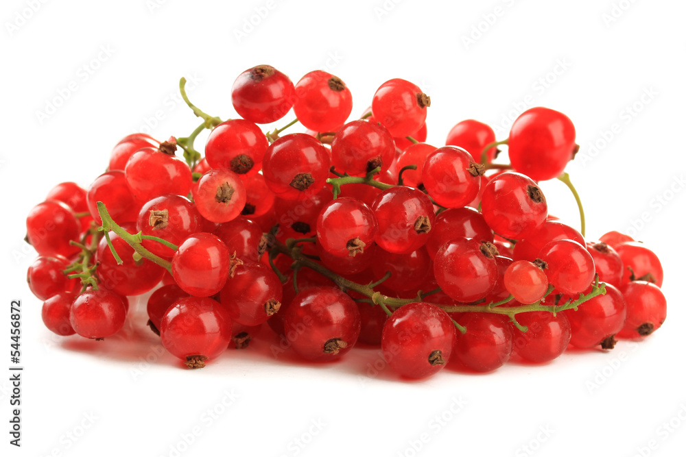 Red currant isolated on white Red currant isolated on white