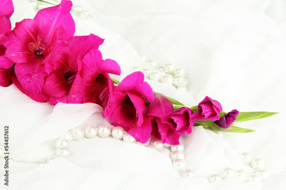 Beautiful gladiolus flower on white fabric background Beautiful gladiolus flower on white fabric background