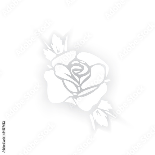 White rose silhouette with shadows on white background.