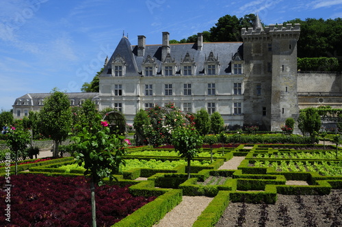 Villandry gardens, Loire valley, France