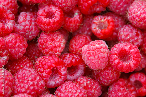 Many raspberries as a texture