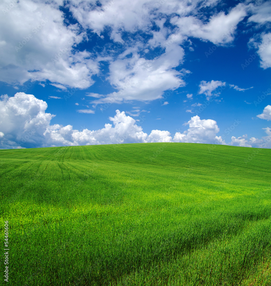 green field