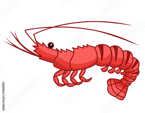 Shrimp isolated illustration