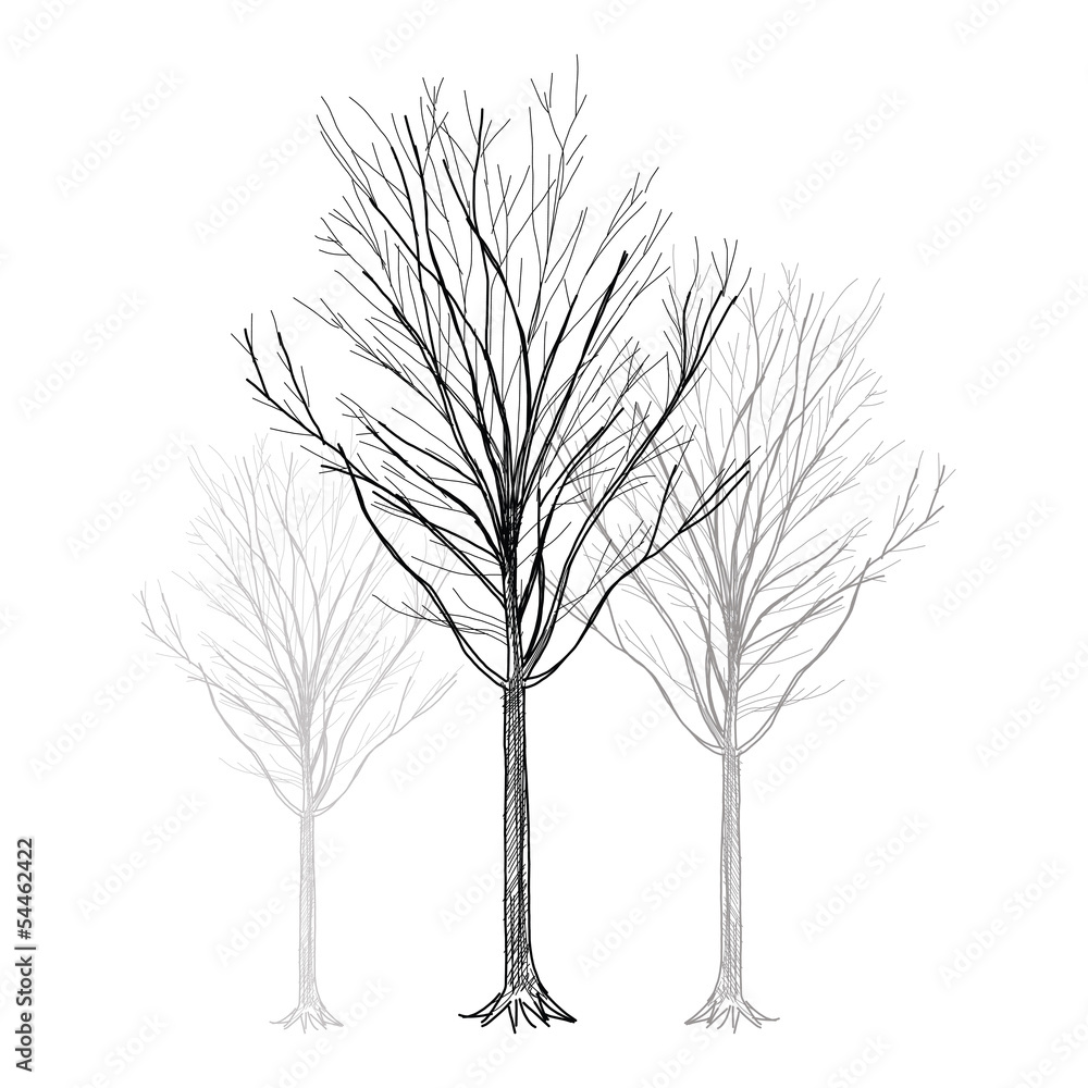 Obraz premium Tree - Hand Drawn vector