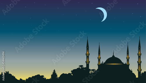 night, the moon and a mosque