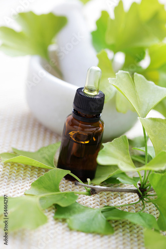 Ginkgo biloba essential oil