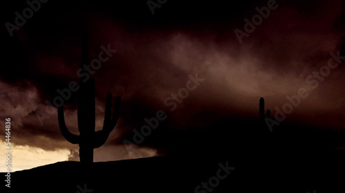 Arizona Saguaro dramatic storm