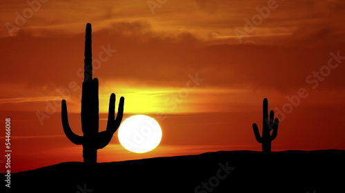 Arizona Saguaro sunrise