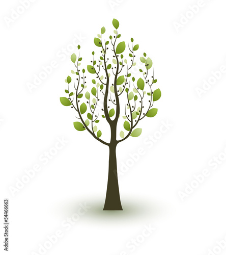 Single green tree on white background.