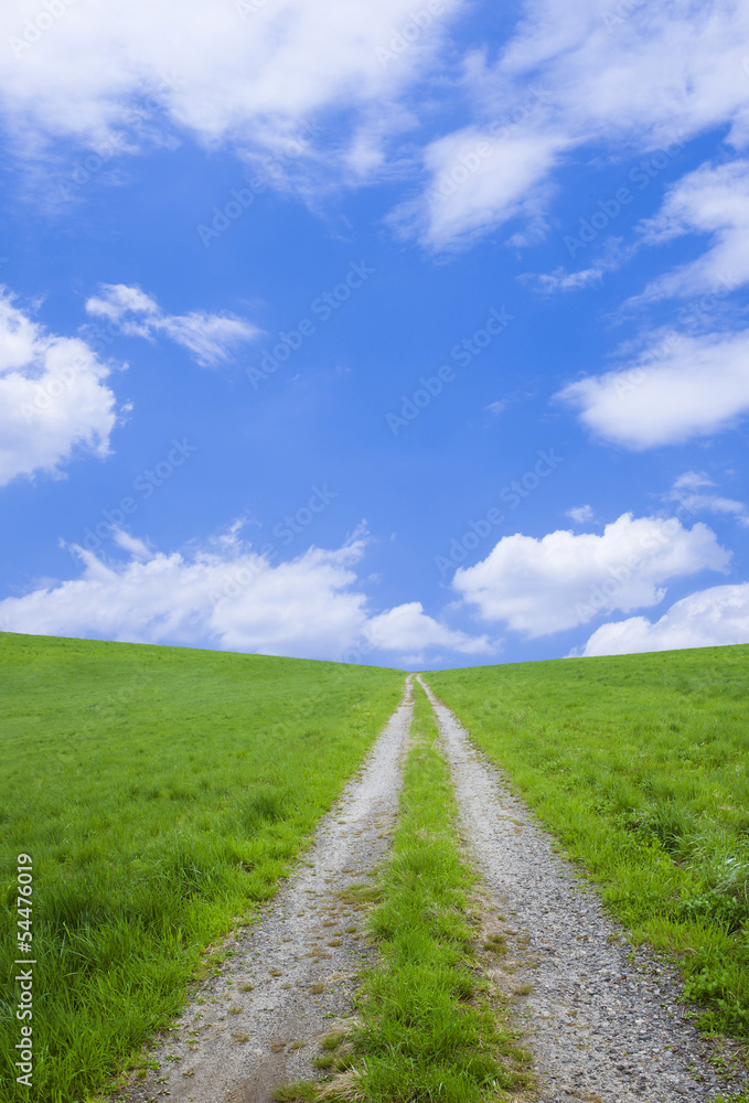 草原と青空と道
