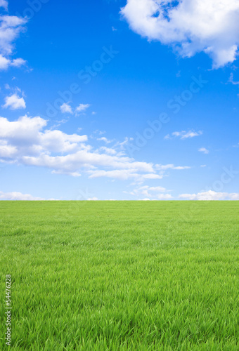 草原と青空 © miiko