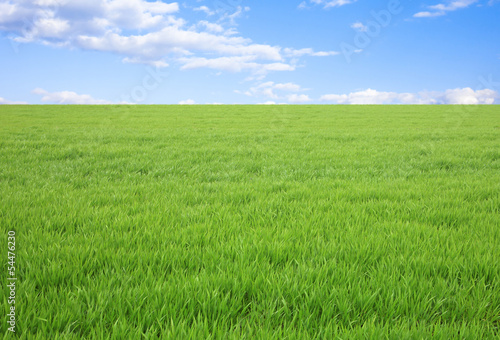 草原と青空 photo