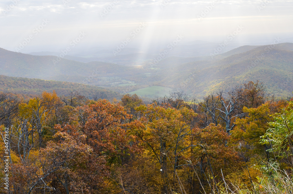Shenandoah National Park in autumn foliage - Virginia, United States of America