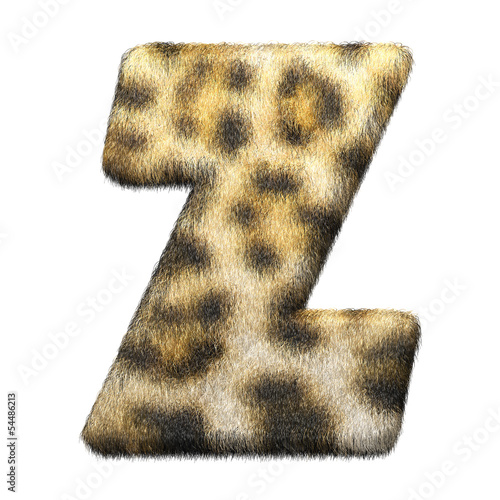Wallpaper Mural Leopardenfell Letter "Z" Torontodigital.ca