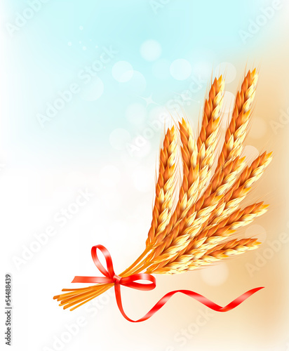 Ears of wheat  with red ribbon. Vector illustration.