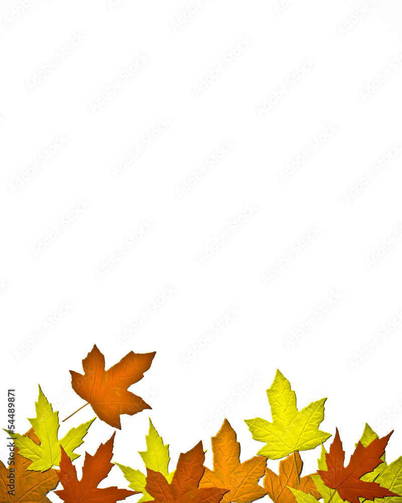 THANKSGIVING CARD THANKSGIVING CARD