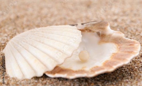 Sea pearl in shells on sand