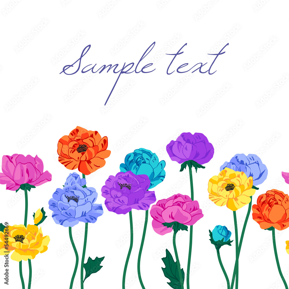 anemone; background; colorful; summer; floral