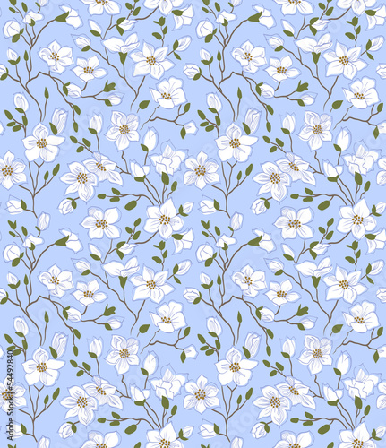 Fotografia flower; pattern; magnolia; branch, blue