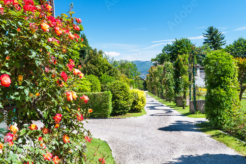 Piece of public gardens of Villa Taranto  Italy