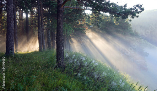 the rays of the sun in the mist © zacupboss