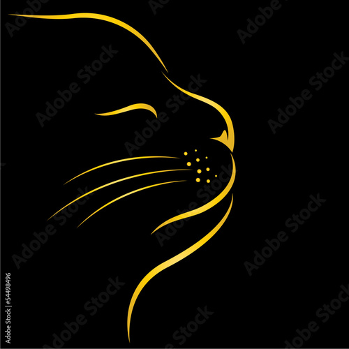 Vector image of an cat