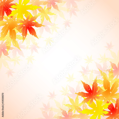 もみじ　紅葉　背景