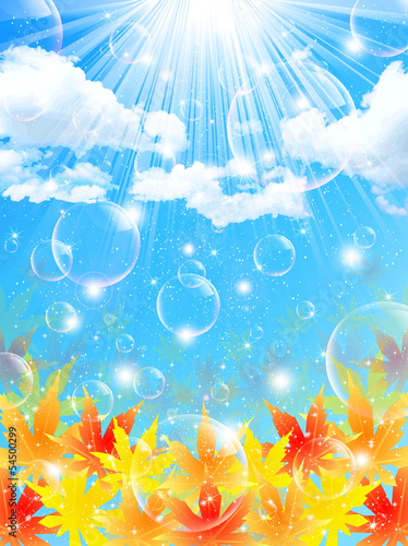 もみじ　紅葉　背景
