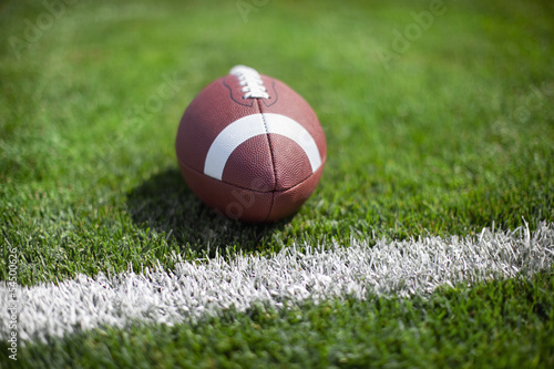 College football at yard line or goal with defocused background