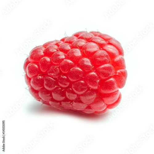 One single Raspberry against a white background - square