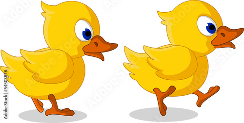 cute two little duck cartoon walking