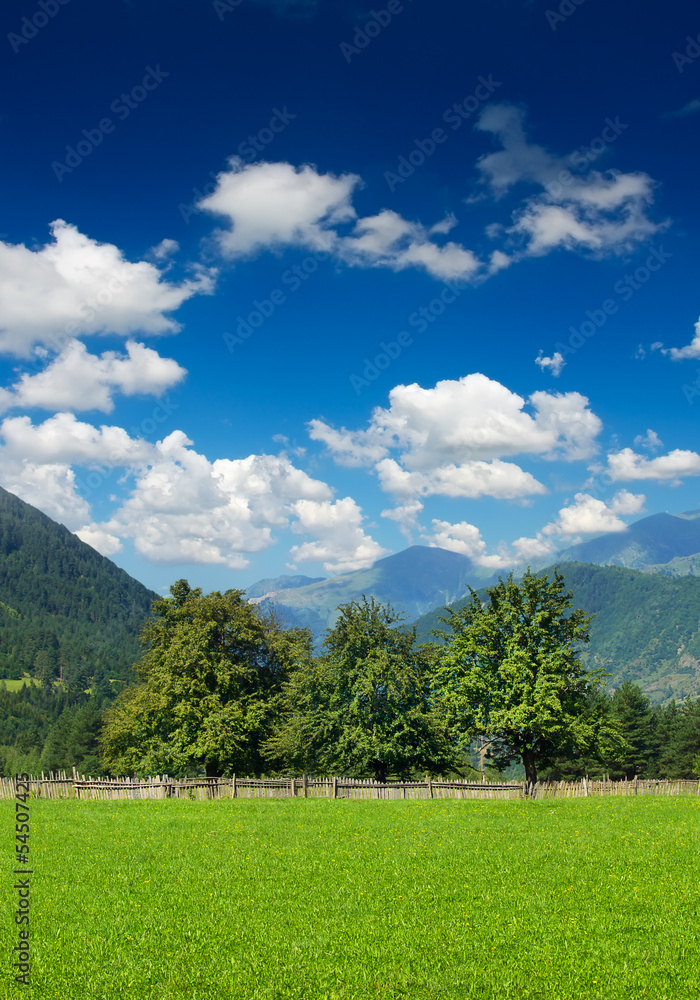 Obraz premium Mountain valley in the summer time. Beautiful summer landscape