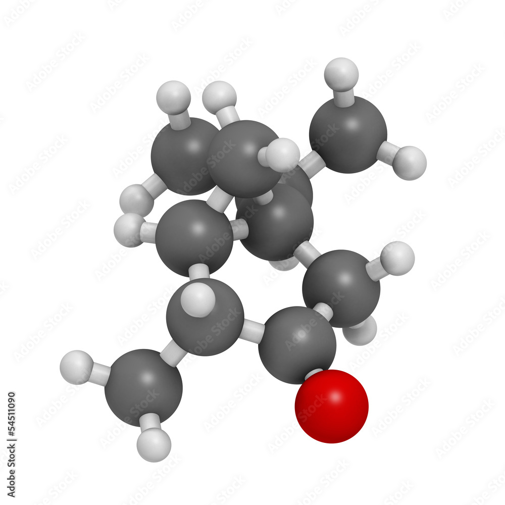 Thujone absinthe molecule, chemical structure. Thujone absinthe molecule, chemical structure.