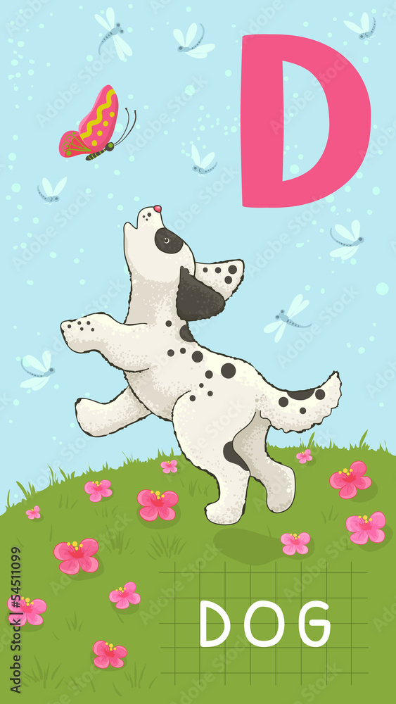 Obraz premium Letter D, animal ABC