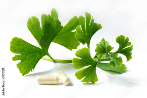 Gingko