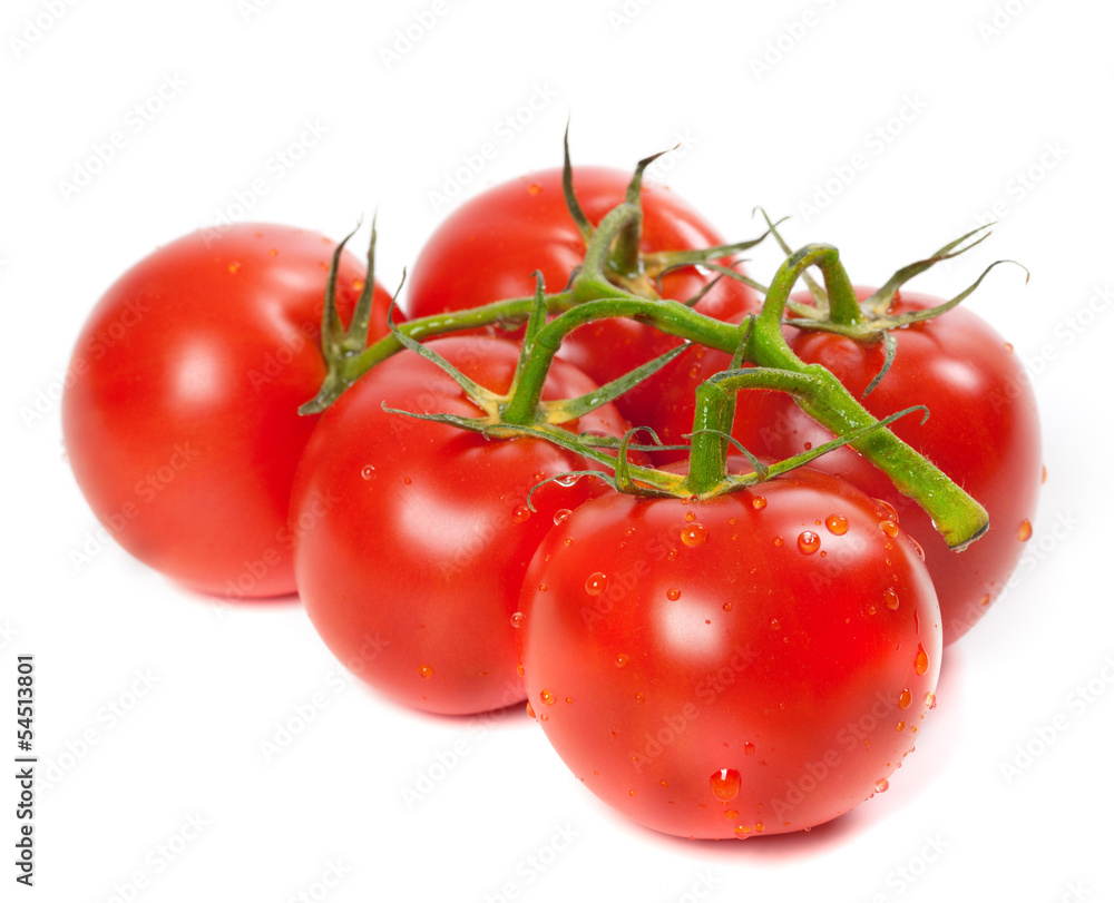 Ripe tomato on bunch with water drops Ripe tomato on bunch with water drops