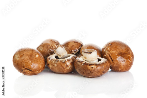 mushroom isolated on white background.