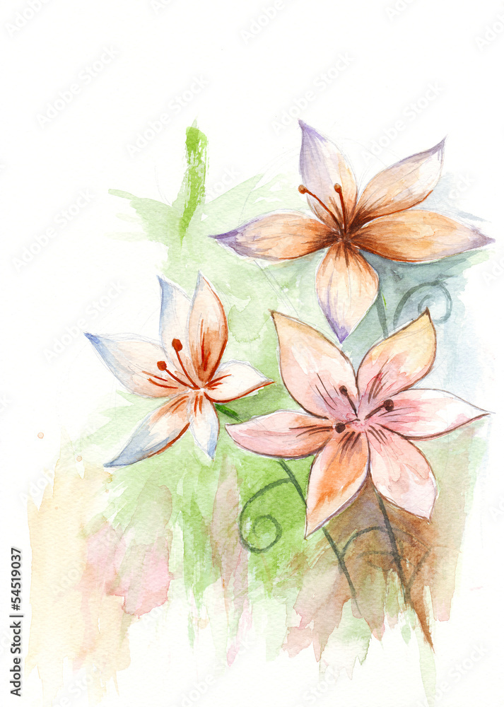 Obraz premium Asiatic lilies
