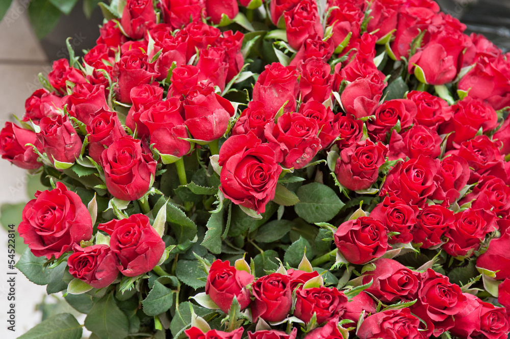 bouquet of roses bouquet of roses